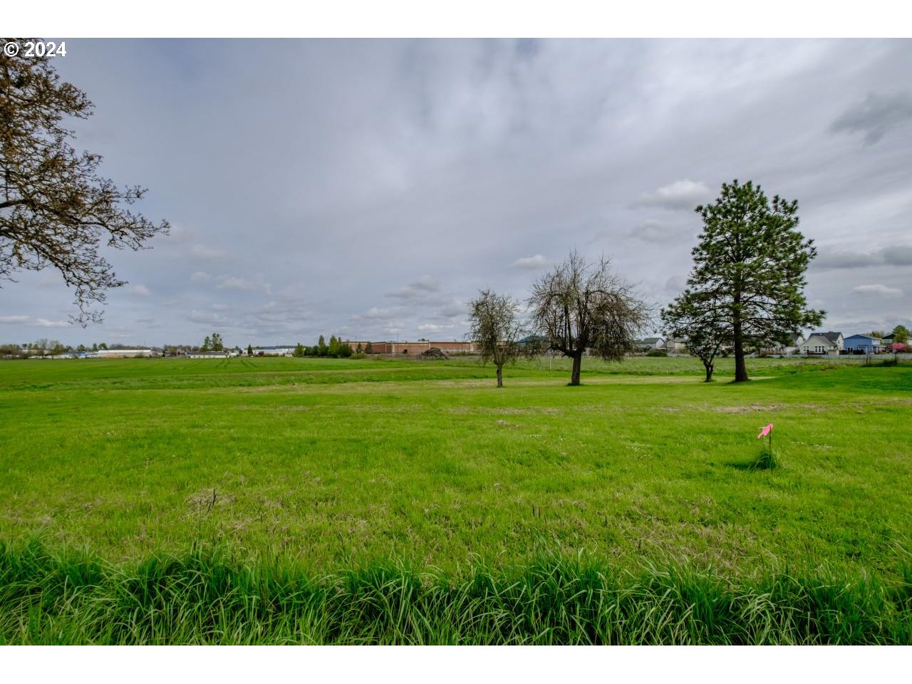 Land in Albany 2