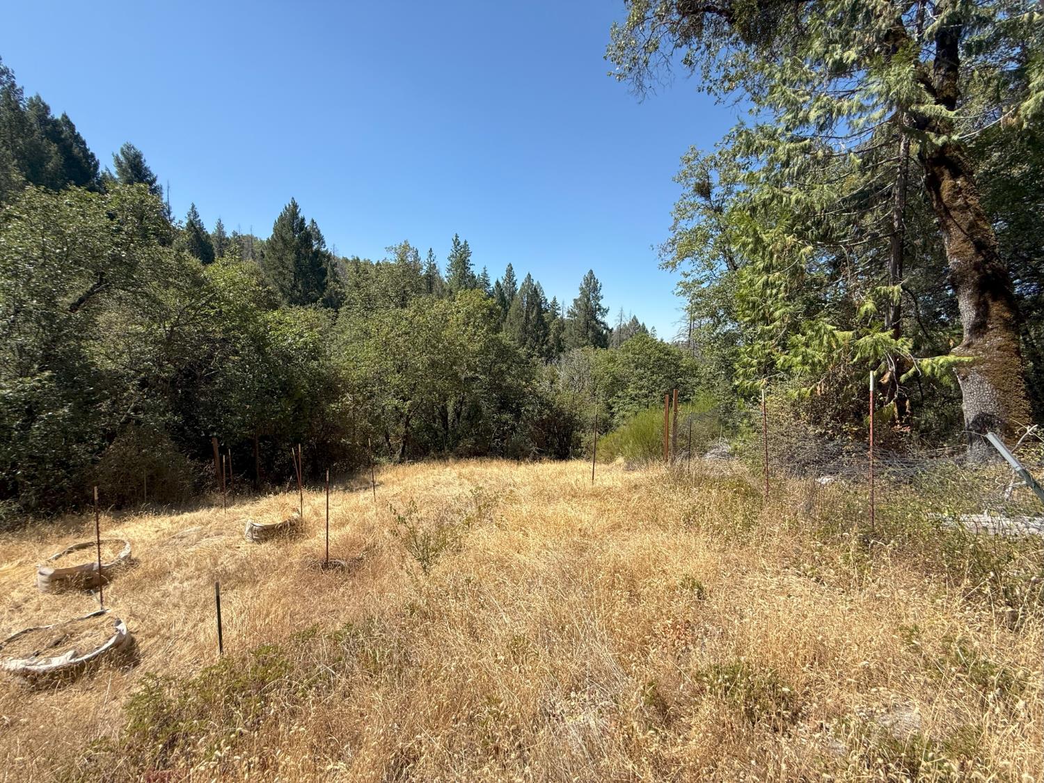 Land in Nevada City 3