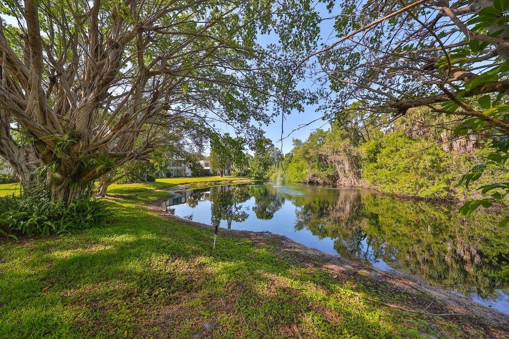 Pinehurst Dr, Bradenton, FL 34210