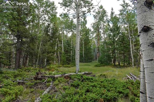 205 Timberline Drive, Guffey, CO, 80820 | Card Image