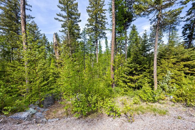 397 Saddlehorn Trl, Home with 0 bedrooms, 0 bathrooms and null parking in Bigfork MT | Image 28