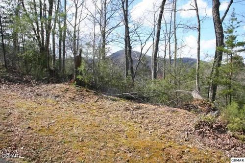 4350 Carolina Cove Way, Pigeon Forge, TN, 37863-4560 | Card Image