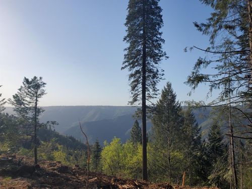 4104 Volcanoville Road, Georgetown, CA, 95634 | Card Image