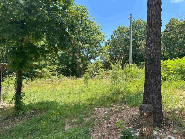 58 Timber Ridge Rd, House other with 1 bedrooms, 1 bathrooms and null parking in Mammoth Spring AR | Image 9
