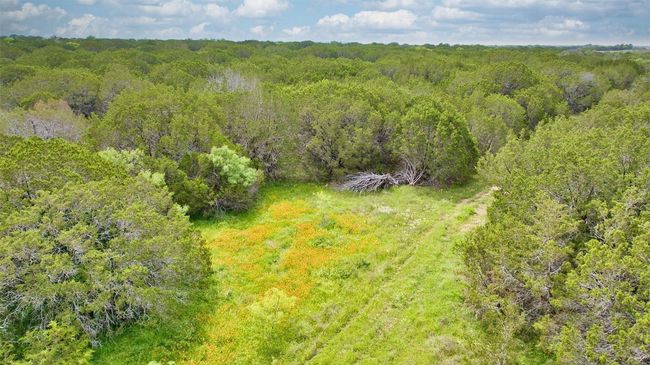 Aerial view of a heavily wooded area | Image 4