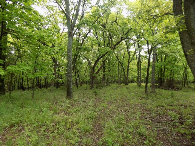 1267 Rock Creek Rd, Home with 0 bedrooms, 0 bathrooms and null parking in Williamsburg KS | Image 26