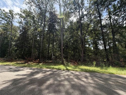 0 W Black Gum Ln, Village Mills, TX, 77663 | Card Image