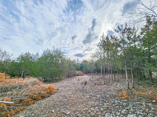 00 Tall Oaks Rd, Pittsburg, MO, 65724 | Card Image