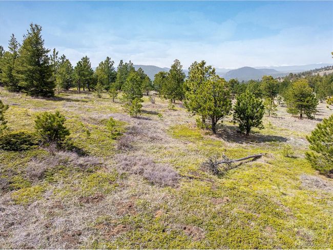 1713 Lost Angel Rd, Home with 0 bedrooms, 0 bathrooms and null parking in Boulder CO | Image 9