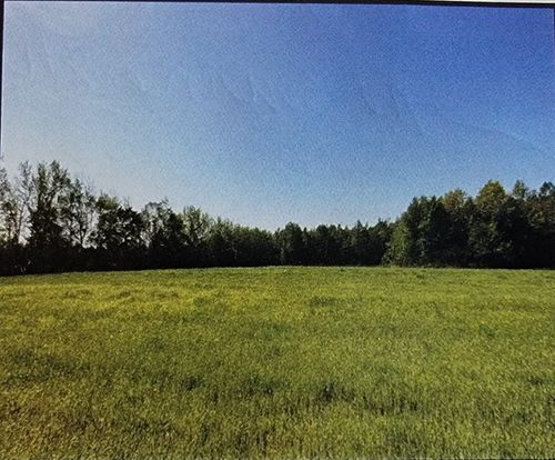 0 Hollow Springs Rd, Bradyville, TN, 37026 | Card Image