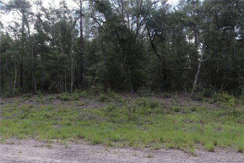 653 Vercelli Ln, DUNNELLON, FL, 34434-4407 | Card Image