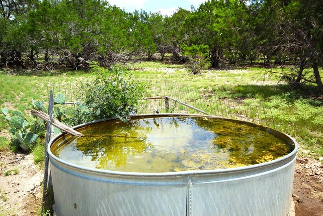 51 Deadend Rd, Home with 0 bedrooms, 0 bathrooms and null parking in Mountain Home TX | Image 13