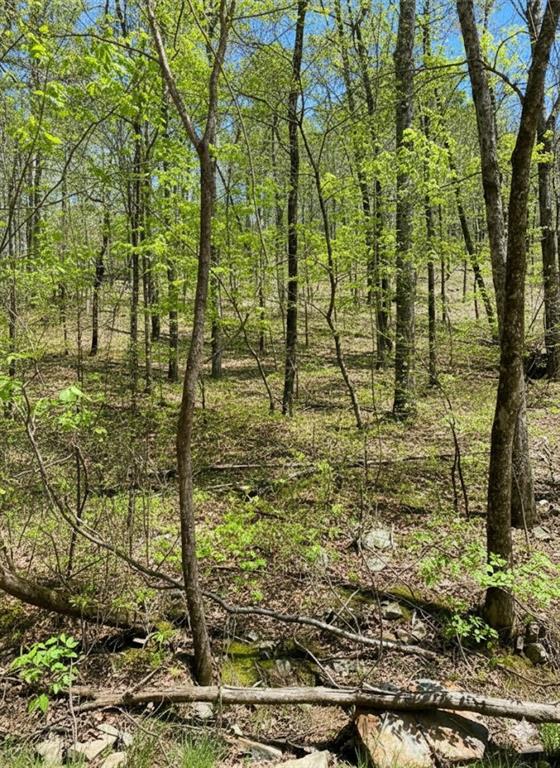 Land in Broken Bow 2