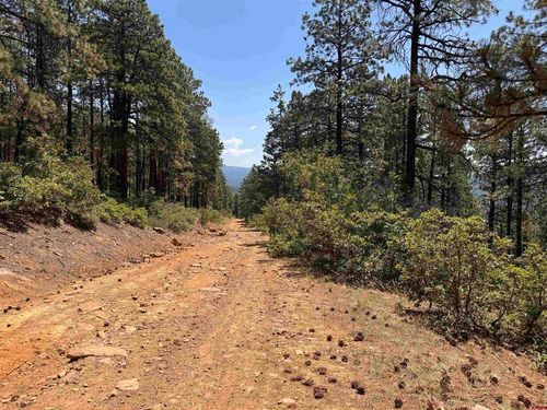 TBD Unit 3 Forest Lakes, Bayfield, CO, 81122 | Card Image