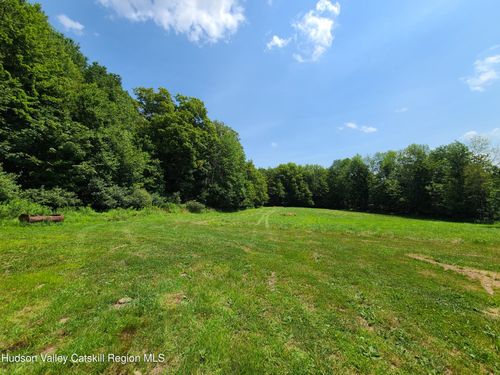 Tbd Stump Pond Road, Livingston Manor, NY, 12758 | Card Image