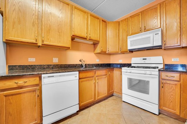 APT-506 - 9355 Irving Park Rd, Condo with 2 bedrooms, 2 bathrooms and 2 parking in Schiller Park IL | Image 16