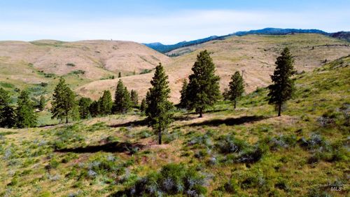 TBD Advent Gulch Rd., Cambridge, ID, 83610 | Card Image