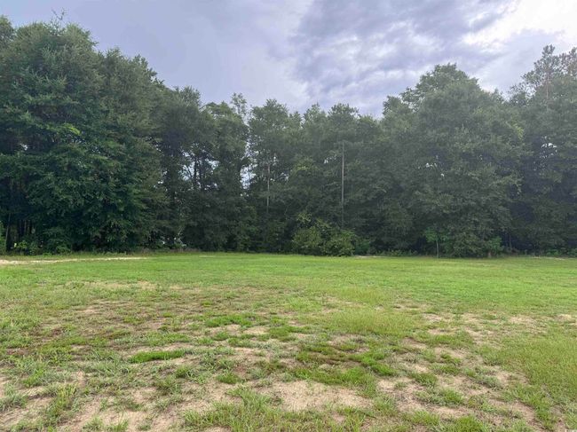 View of grassy yard with a view of trees | Image 6