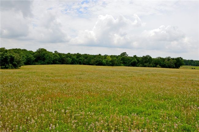 View of nature with rural landscape | Image 40
