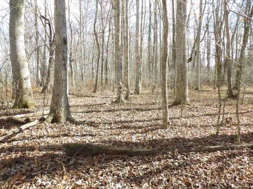 1 Cyrus Daniels Rd, Evensville, TN, 37332 | Card Image