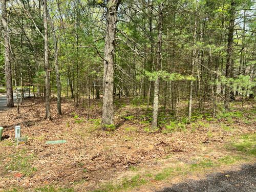 Lot 95 Iroquois Rd, Pentwater, MI, 49449 | Card Image