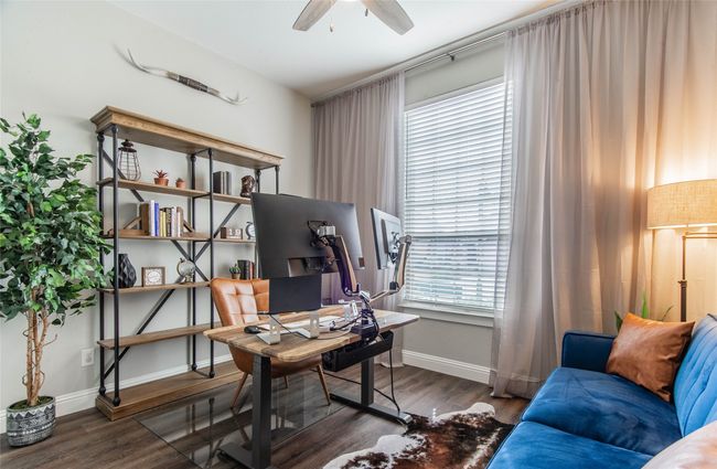 Study | Image 4