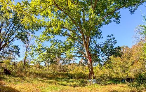 299 Dry Pond Hwy, Claudville, VA, 24076-3011 | Card Image