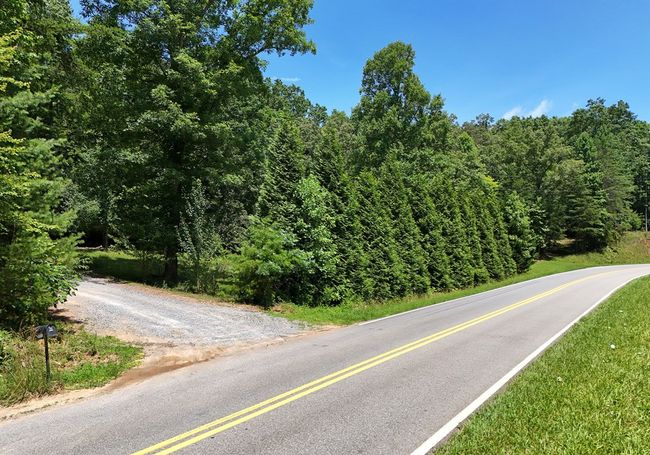 3373 Hardscrabble Rd, Home with 3 bedrooms, 3 bathrooms and null parking in mineral bluff GA | Image 5