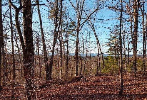 207 Sawyer Ln, Pickens, SC, 29671-7203 | Card Image