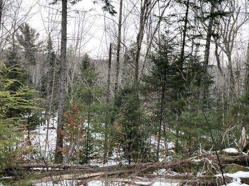 lot-LOT# Trafton Road, Harmony, ME, 04942 | Card Image