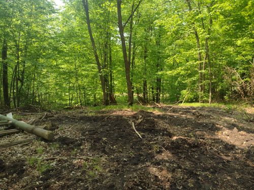 8 Crystal Beach Road, Pelican Rapids, MN, 56572 | Card Image