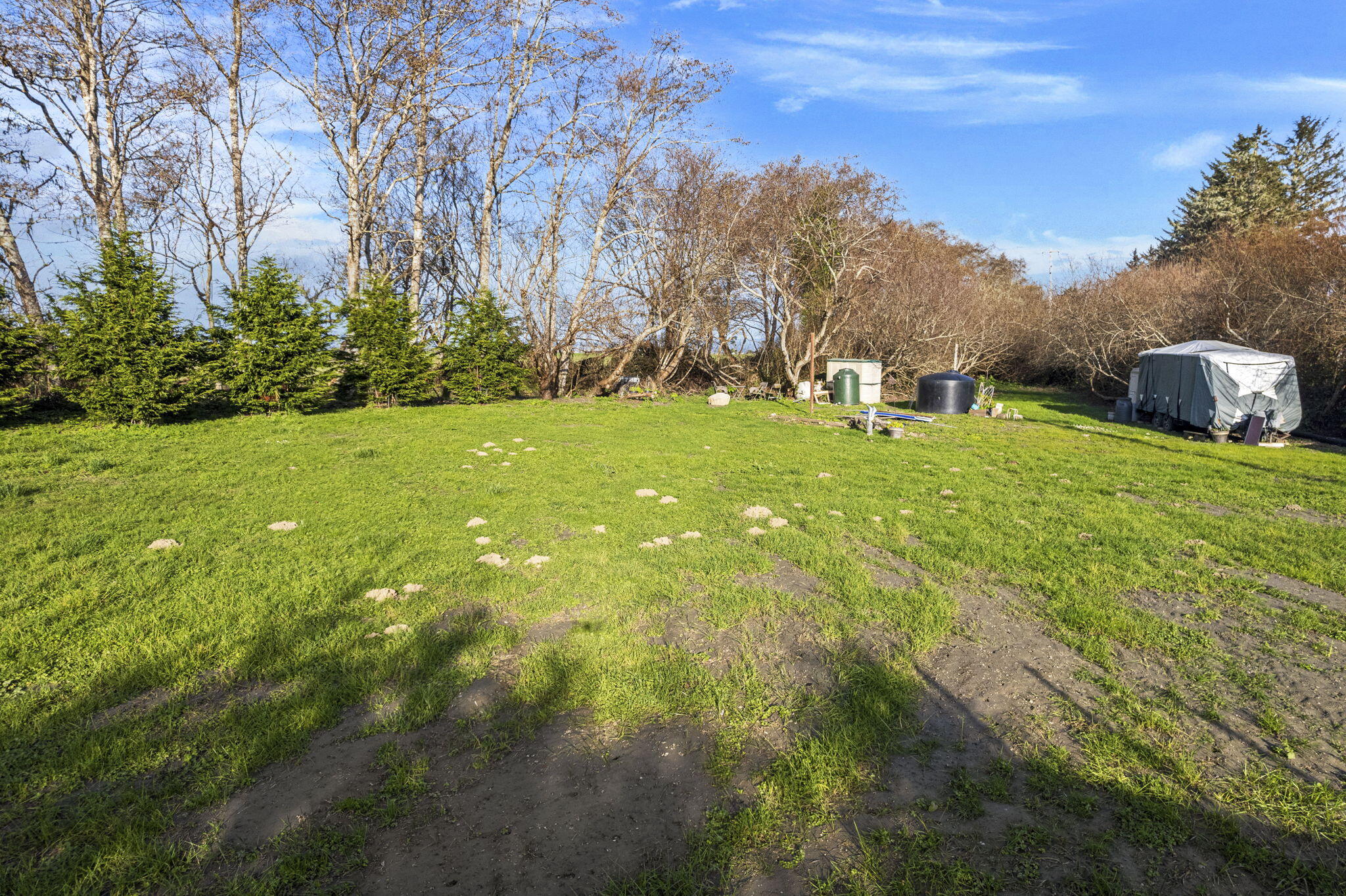Land in Ferndale 2
