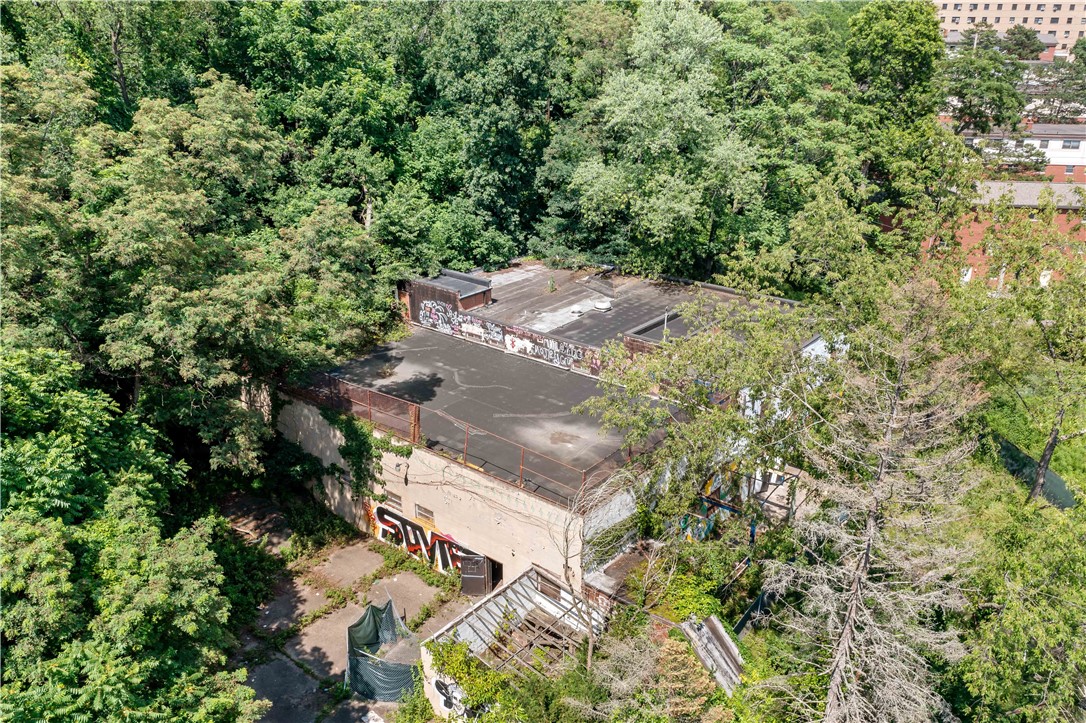 Commercial Sale in Fineview 3