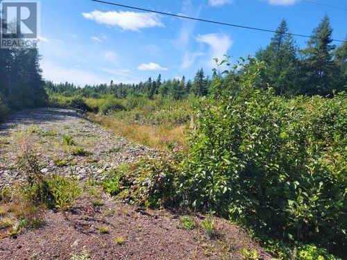 45 Main St, Botwood, NL, A0H1E0 | Card Image