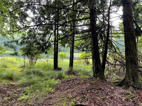 10 Cty Hwy 141 Horseshoe Lake Rd, Bethel, NY, 12720 | Card Image