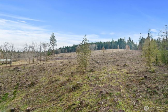 B - 0 Little Hanaford Rd, Home with 0 bedrooms, 0 bathrooms and null parking in Centralia WA | Image 15