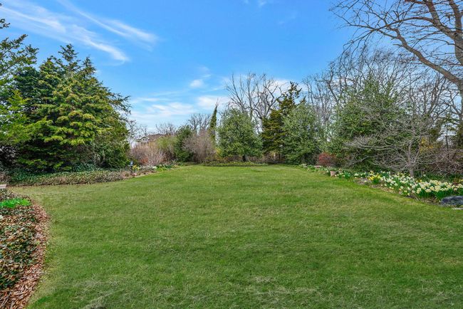 View of yard | Image 11