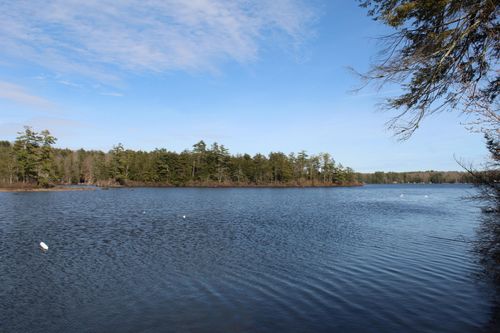 00 Racoon Road, Acton, ME, 04001 | Card Image