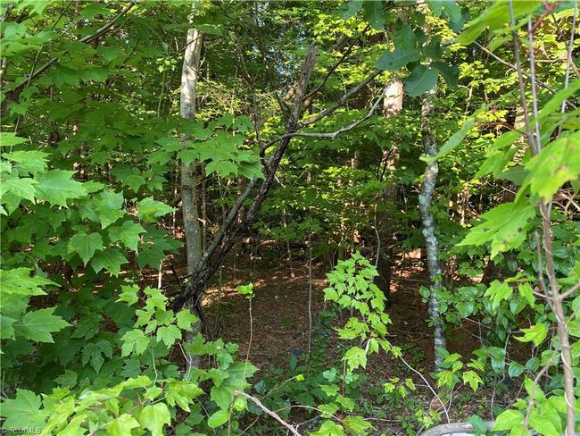 0 Scenic Dr, Home with 0 bedrooms, 0 bathrooms and null parking in King NC | Image 4