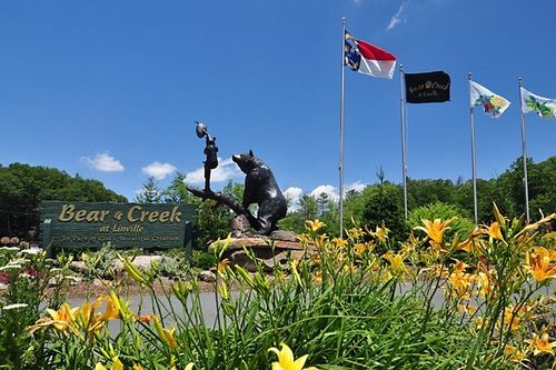 287 Cougar Run, Linville, NC, 28646-8003 | Card Image
