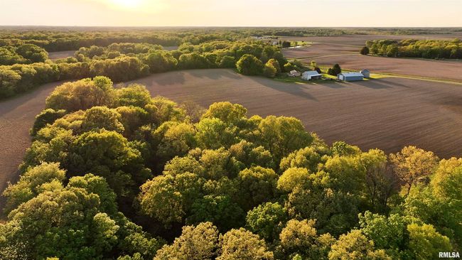 0 N Chambers Rd, Home with 0 bedrooms, 0 bathrooms and null parking in Smithfield IL | Image 10