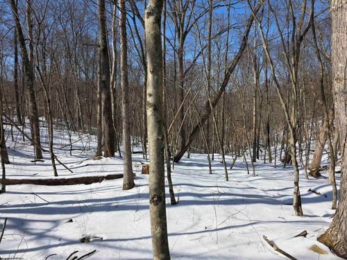 Lot 17, 18 &amp;19 Poplar Drive, Grafton, WV, 26354 | Card Image