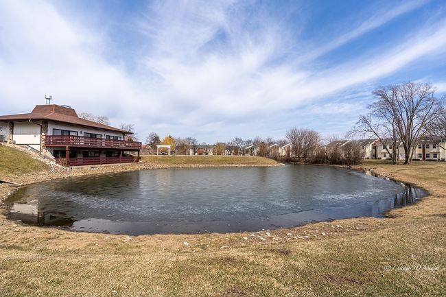 UNIT-107 - 1243 E Baldwin Ln, Home with 3 bedrooms, 2 bathrooms and 2 parking in PALATINE IL | Image 24