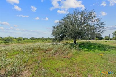 TBD 2 Sparta Fields Road, Home with 0 bedrooms, 0 bathrooms and null parking in Waelder TX | Image 3