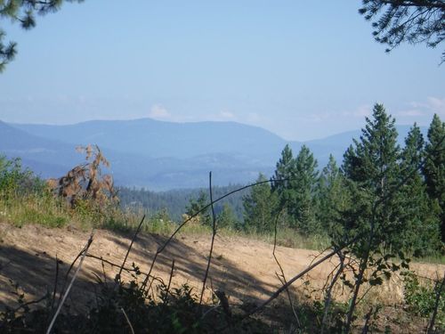 Lot 4 Moose Ridge Way, Loon Lake, WA, 99148 | Card Image