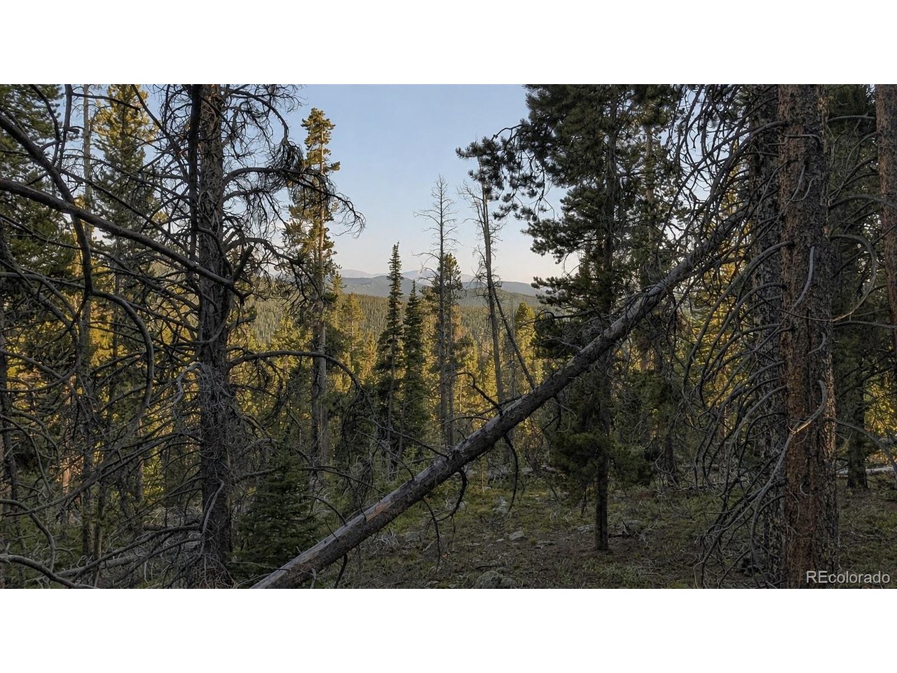 Land in Idaho Springs 2