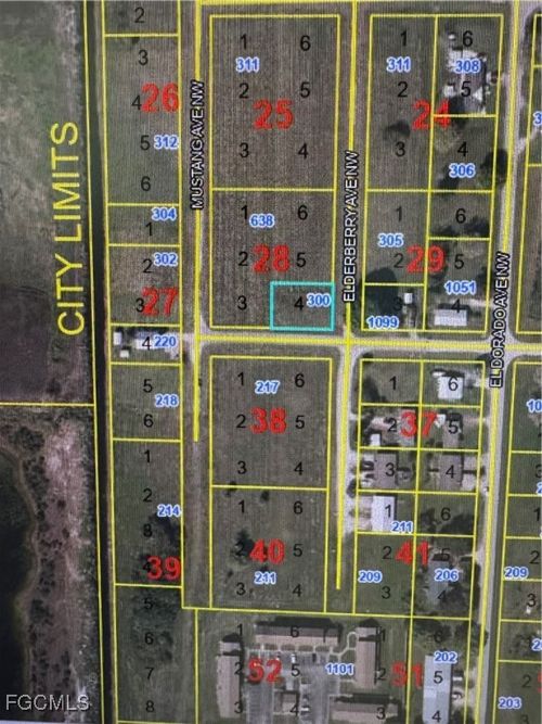 300 Elderberry Ave Nw, Moore Haven, FL, 33471 | Card Image