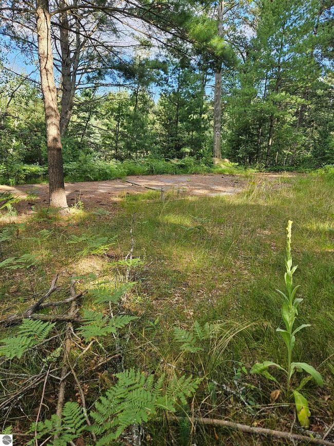 0 Vaughn Rd, Home with 0 bedrooms, 0 bathrooms and null parking in Hale MI | Image 13