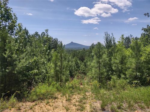 0 Pine Tree Dr, Pinnacle, NC, 27043 | Card Image