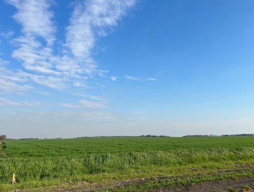 TBD Mustang Rd, Waxahachie, TX, 75165 | Card Image